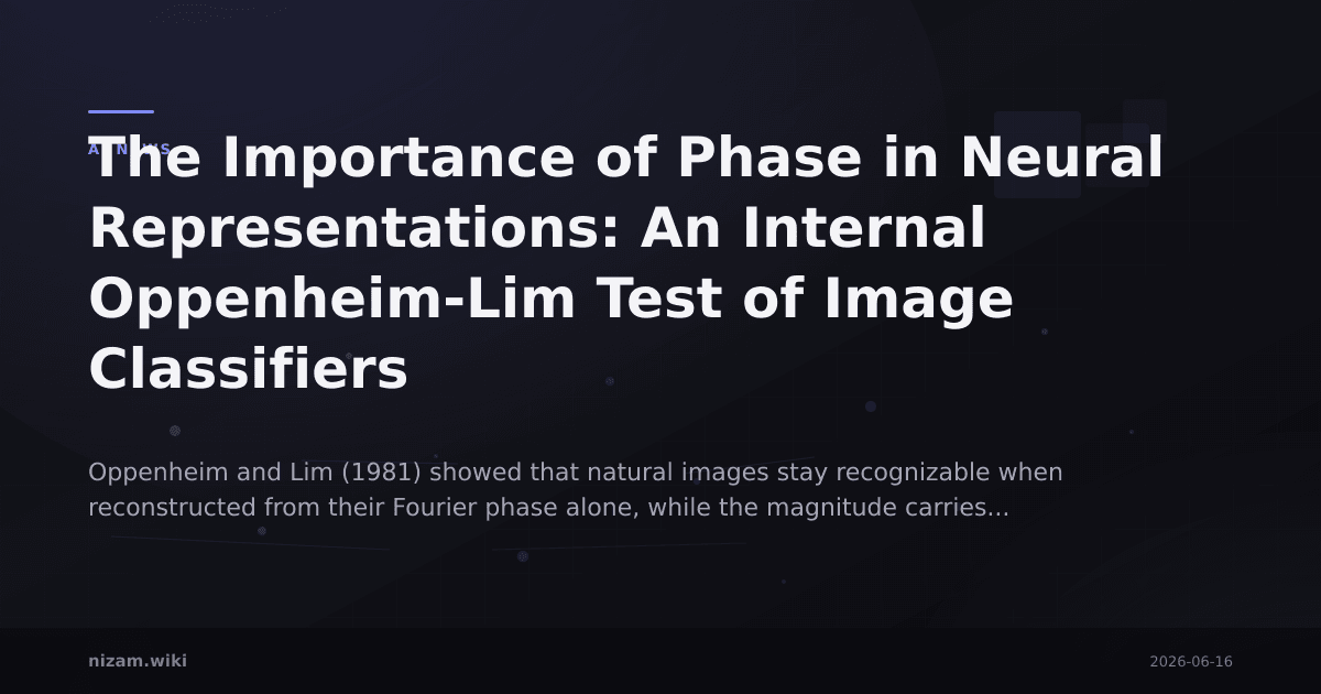 The Importance of Phase in Neural Representations: An Internal Oppenheim-Lim Test of Image Classifiers